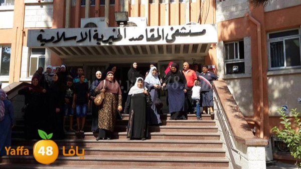 maqased bayareq (14).JPG